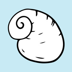 Seashell summer vector illustration 