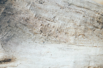 old retro vintage aged wooden texture background with crack and snag sunlight in early spring