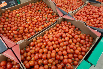 Red cherry tomatoes background, close up. Small tomatoes