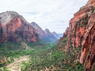 Rock and Tree Landscape Zion National Park With Clear Skies
