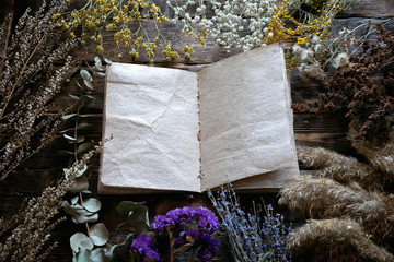 Various dried plants and herbs and a blank page recipe book mock up on a wooden table background with copy space. Herbal medicine.