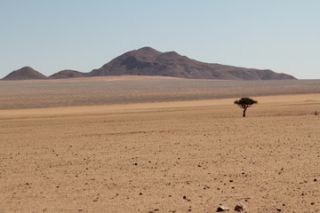 Obraz na płótnie Canvas Wüste in Namibia