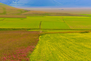 Plans Castelluccio in Italy