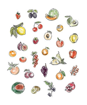 Fruits