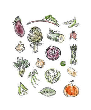 l&eacute;gumes