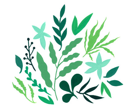 For&ecirc;t