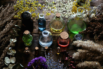 Various dried herbs and an essential oil bottles on a brown wooden board background. Herbal...