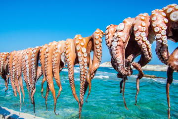 Hanging octopus drying under the sun in Milos island, Cyclades, Greece. Greek traditional seafood