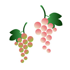 A bunch of pink and green grapes with berries and leaves. Flat design isolated on white background, vector illustration
