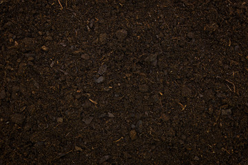 Close-up of organic soil surface backgrounds (high details)