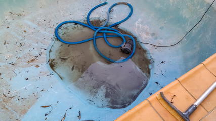 Bottom of drained swimming pool with just a little dirty water around the drain and a vacuum hose curled nearby with section of tile deck and cleaning brush visible