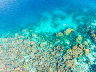 Aerial top down people snorkeling on coral reef tropical caribbean sea, turquoise blue water. Indonesia Wakatobi archipelago, marine national park, tourist diving travel destination