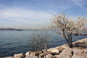 The Prince Island in Istanbul