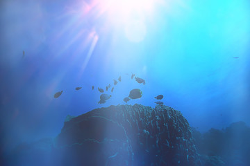 Fototapeta na wymiar sun rays scuba reef / blue sea, abstract background, sunny day, rays in water