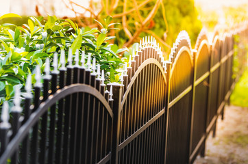 iron fence