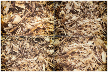 Collection of Barking Wood Chip Mulch.