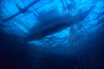 underwater scene / coral reef, world ocean wildlife landscape
