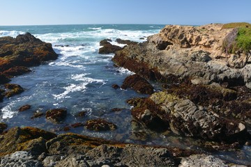Fototapeta na wymiar Impressions from Fort Bragg Glass Beach in Mendocino County from April 28, 2017, California USA