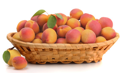Apricots in a basket isolated on white
