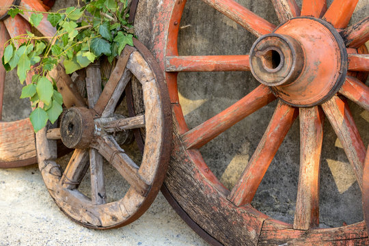 Old wooden cart wheels with a plant. Landscape format.