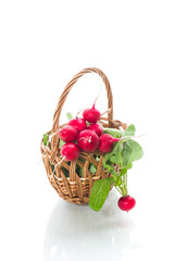 Fototapeta na wymiar fresh organic red radish isolated on white background