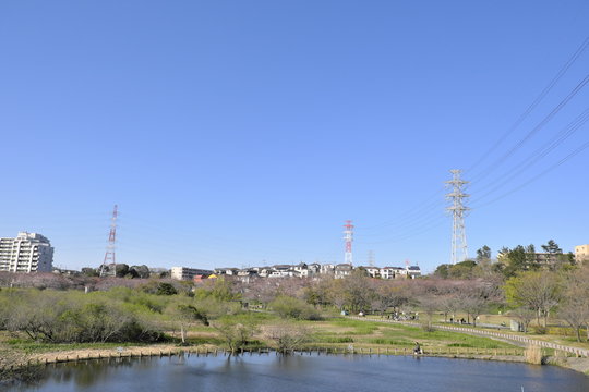 船橋 funabashi 長津川親水公園