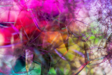 Beautiful soft Abstract background of Soap bubbles