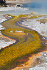 Black sands geyser basin