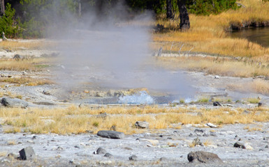 Black sands geyser basin