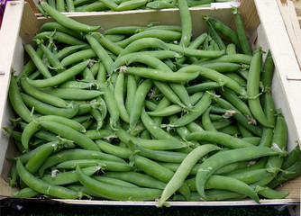 vente de petits pois