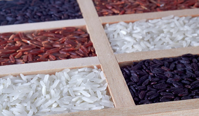 mix rices in wood background