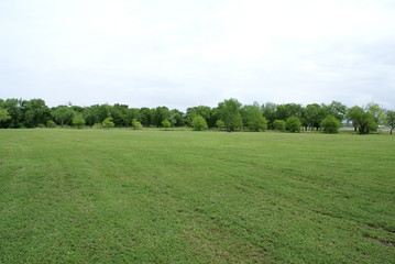 Scenic Field