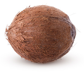 coconut nut isolated on white background clipping path