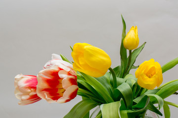 Bouquet of beautiful yellow and red-white tulips