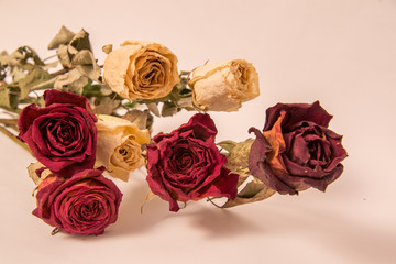 Bouquet of beautiful dried yellow and red roses
