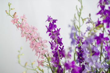 Bouquet of purple wildflowers on a white background