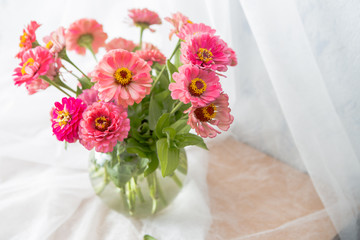 Beautiful and delicate summer flowers called Gerberas on a white background