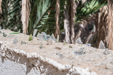 Broken glass on top of wall