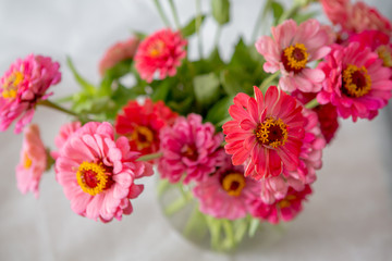 Beautiful and delicate summer flowers called Gerberas on a white background