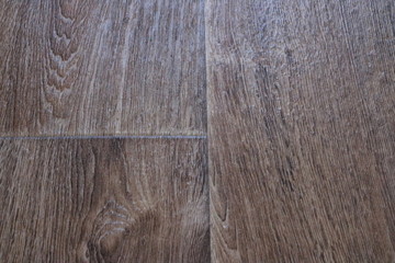 Texture wood
