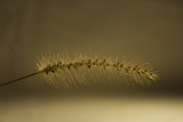 paisagem