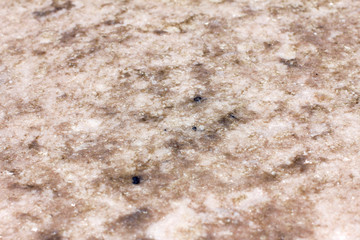 salt deposits in lake Elton