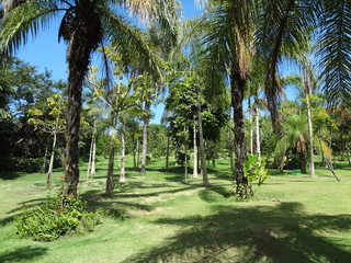 Obraz premium Plants and Gardens