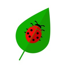 Ladybug  on leaf. Flat icon isolated on white background. Vector illustration.