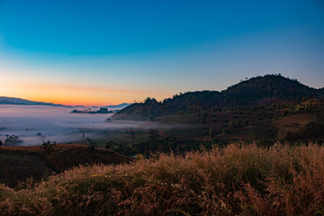 Orange setting sun dthe mist cover hills and lonely pine tree with dense fog and light background at sunrise