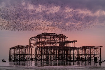 West Pier ruin at sunset with starling murmuration
