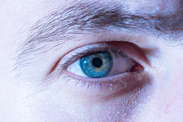 Obraz premium Male eye close up. Macro shooting.