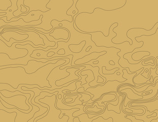 Topographic map on a brown background. Vector illustration .