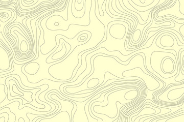 Topographic map of the terrain. Vector illustration ..