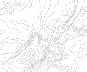 Topographic map on a white background. Vector illustration .